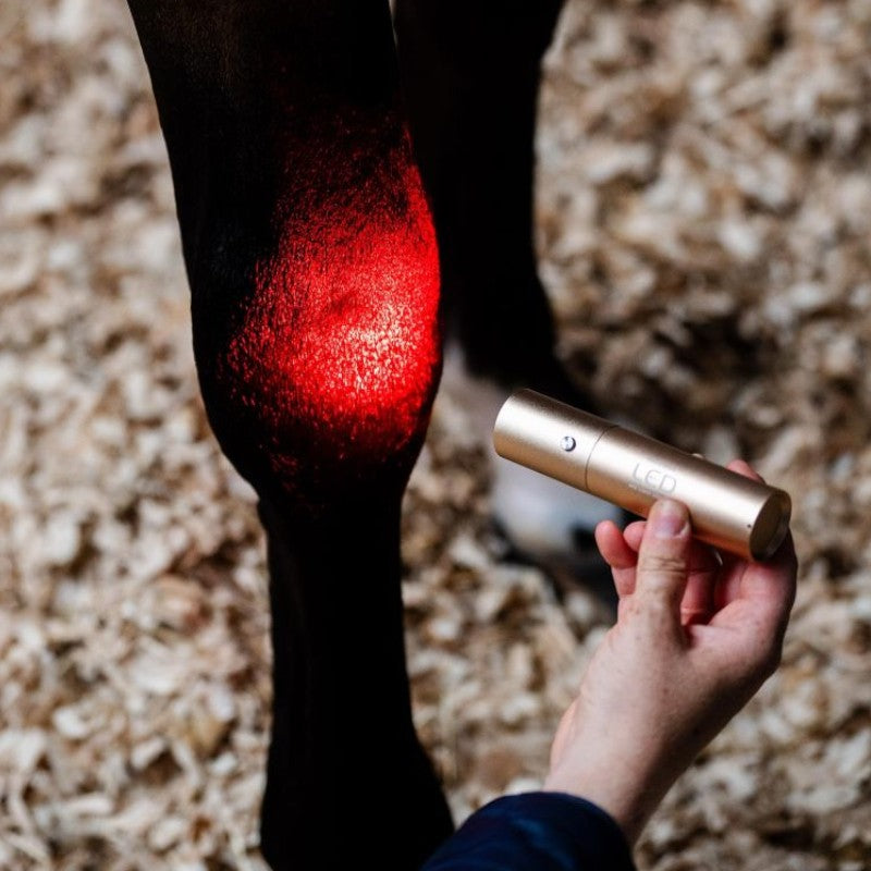 Horseware - Lampe thérapie lumière rouge LED | - Ohlala