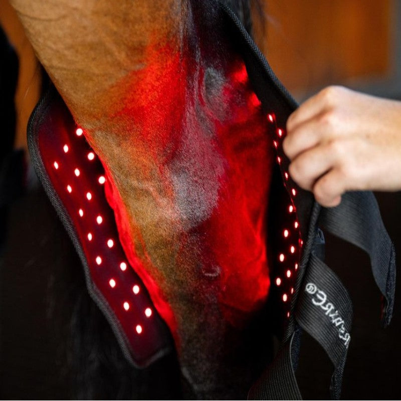 Horseware - Protège-jarret thérapeutique lumière rouge LED (x1) | - Ohlala