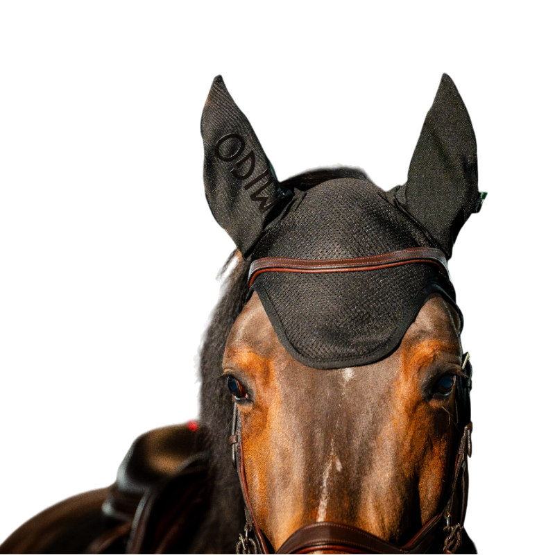 Horseware - Bonnet pour chevaux Amigo noir | - Ohlala