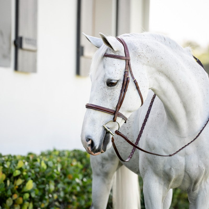 Horseware - Cavesson-Bridle Hunter Pony mit Zügeln in dunklem Braun