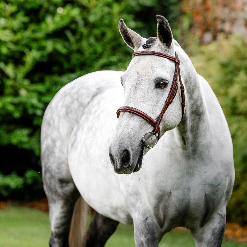 Horseware - Bridon Cavesson Hunter avec rênes dark tan