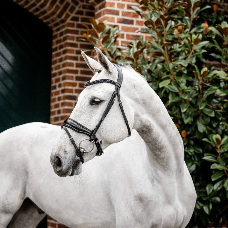Horseware - Bridon Diamante Flash noir/ noir