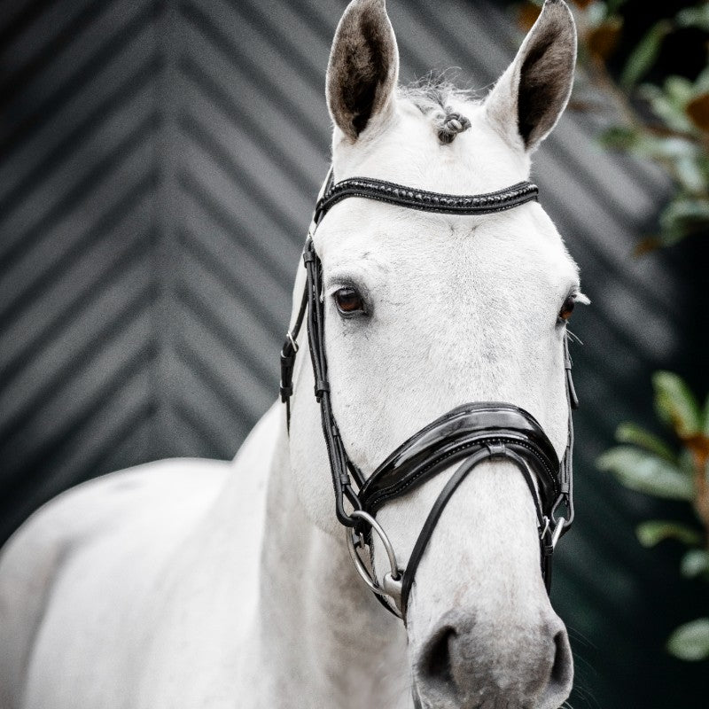 Horseware - Bridon Diamante Flash noir/ noir