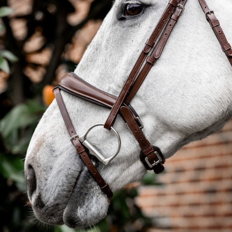 Horseware - Braunes Dressurzaumzeug