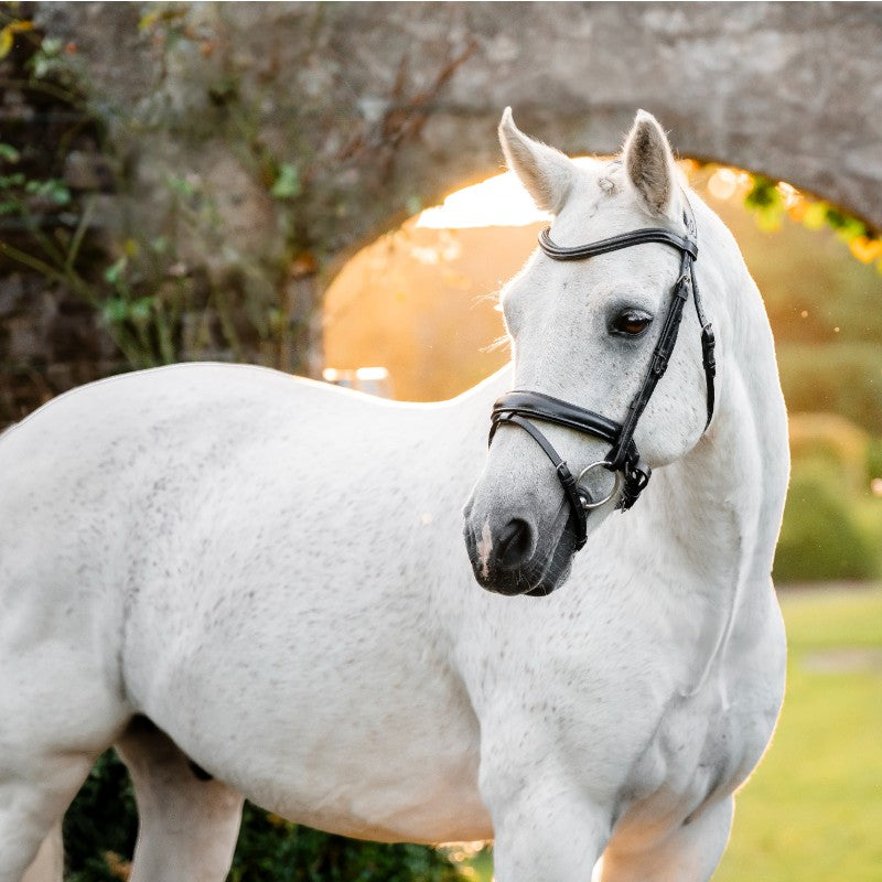 Horseware - Bridon Dressage Pony Flash noir