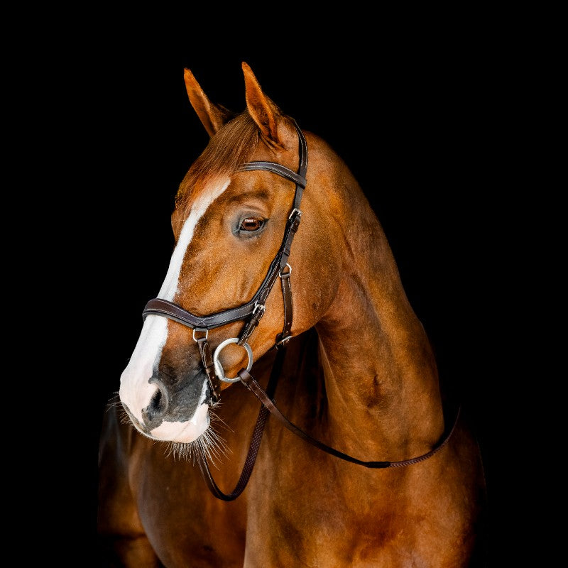 Horseware - Micklem-Wettbewerbszaum dunkel havane