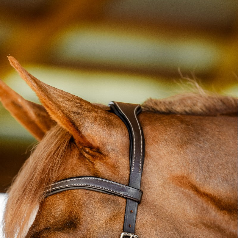 Horseware - Micklem-Wettbewerbszaum dunkel havane