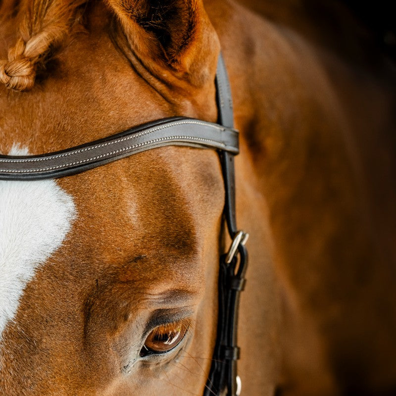 Horseware - Micklem-Wettbewerbszaum dunkel havane