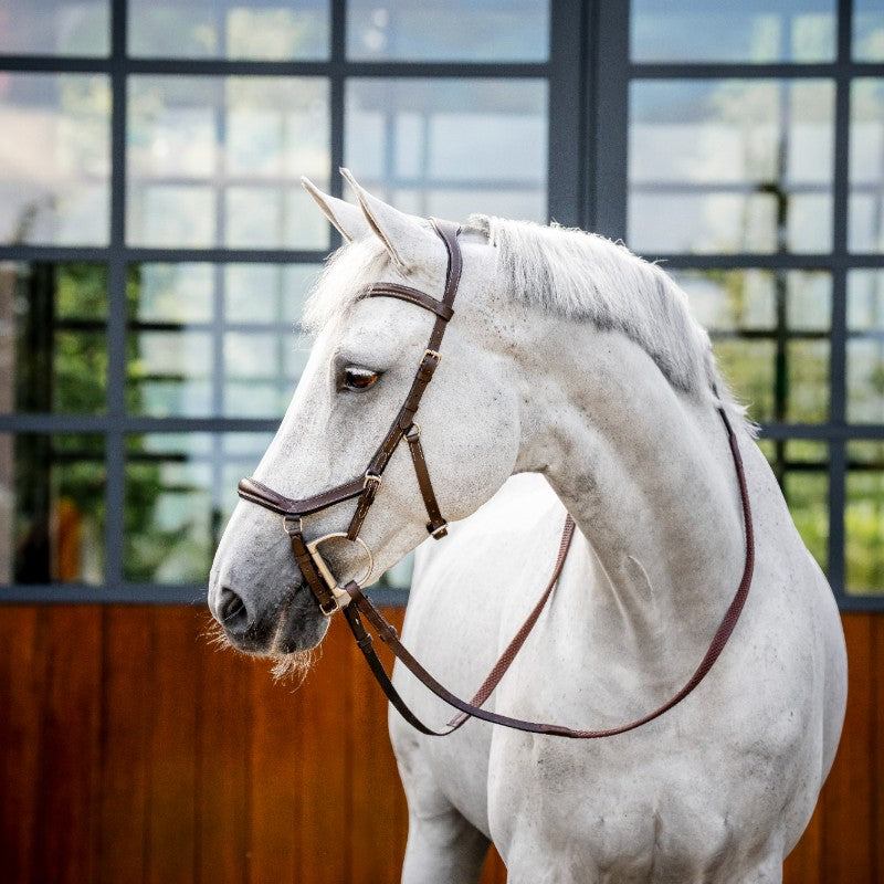 Horseware - Micklem Deluxe Wettbewerbstrense dunkel havane