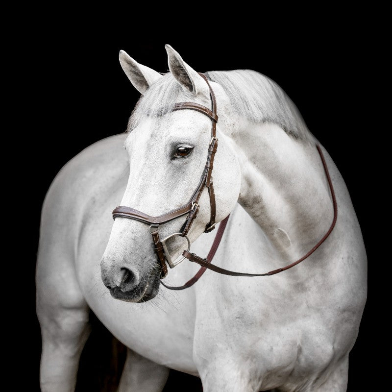 Horseware - Micklem Deluxe Wettbewerbstrense dunkel havane