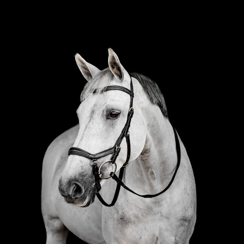 Horseware - Micklem Deluxe Competition Bridle black