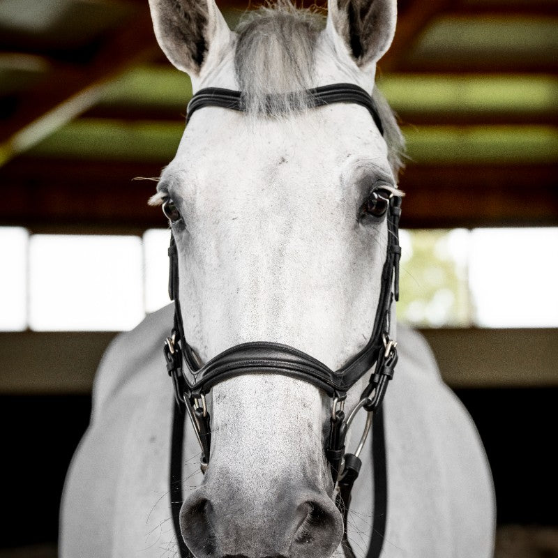 Horseware - Micklem Deluxe Competition Bridle black