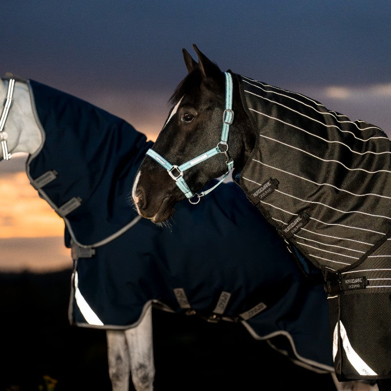 Horseware - Außenabdeckung Amigo FieldSafe Plus Turnout marine/ titan grau/ silber 250g