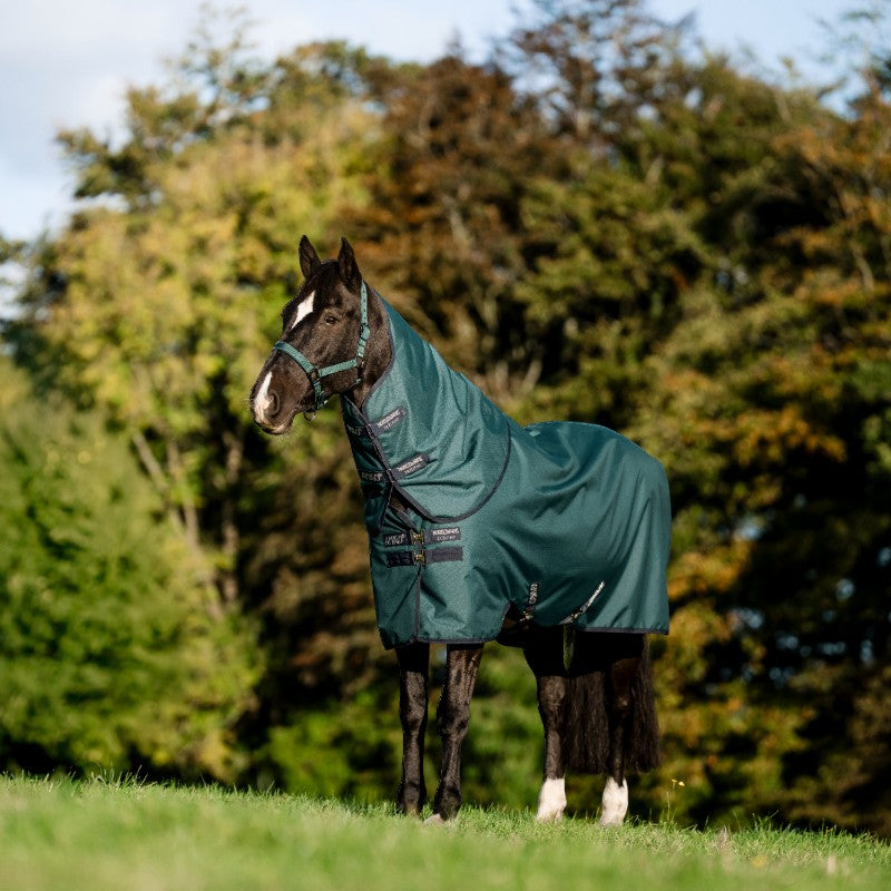 Horseware - Buitenbedekking Amigo Ripstop Plus Pony Turnout dynasty groen/ marine/ zilver 200g