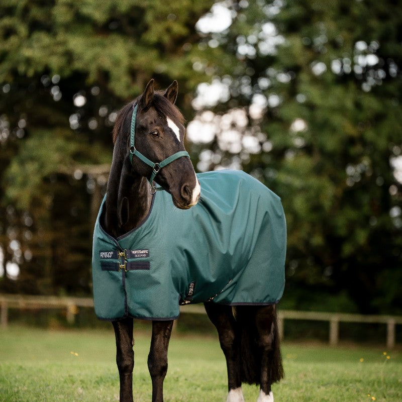 Horseware - Couverture d'extérieur Amigo Ripstop Pony Turnout dynasty green/ marine/ argent 0g | - Ohlala