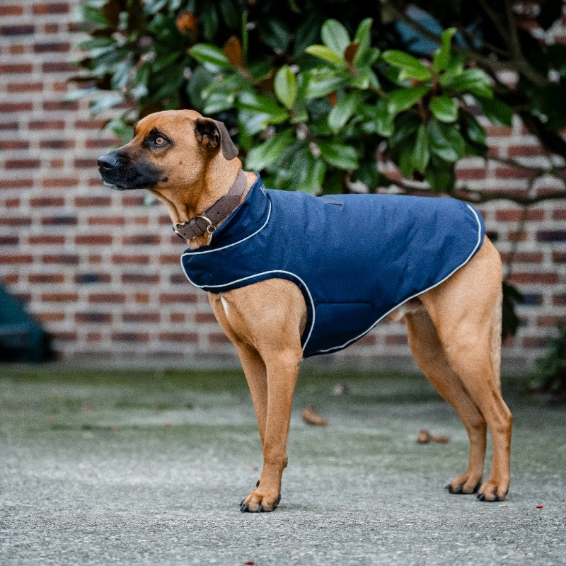 Horseware - Waterdichte hondenhoes Signature marine