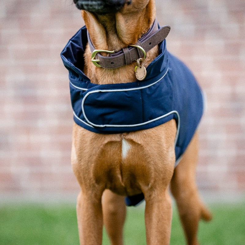 Horseware - Waterdichte hondenhoes Signature marine