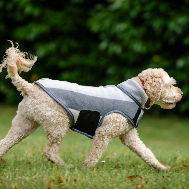 Horseware - Couverture polaire pour chien Newmarket witney charcoal | - Ohlala