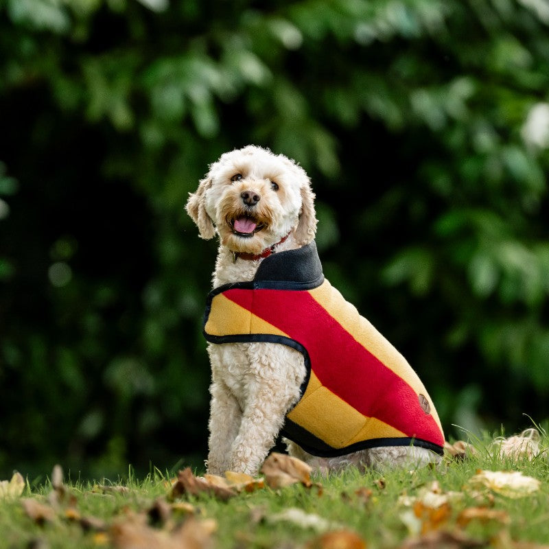 Horseware - Newmarket Witney Gold dog fleece blanket
