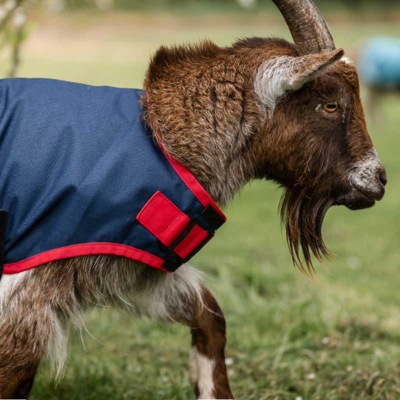 Horseware - Cover for marine goat / red 200g
