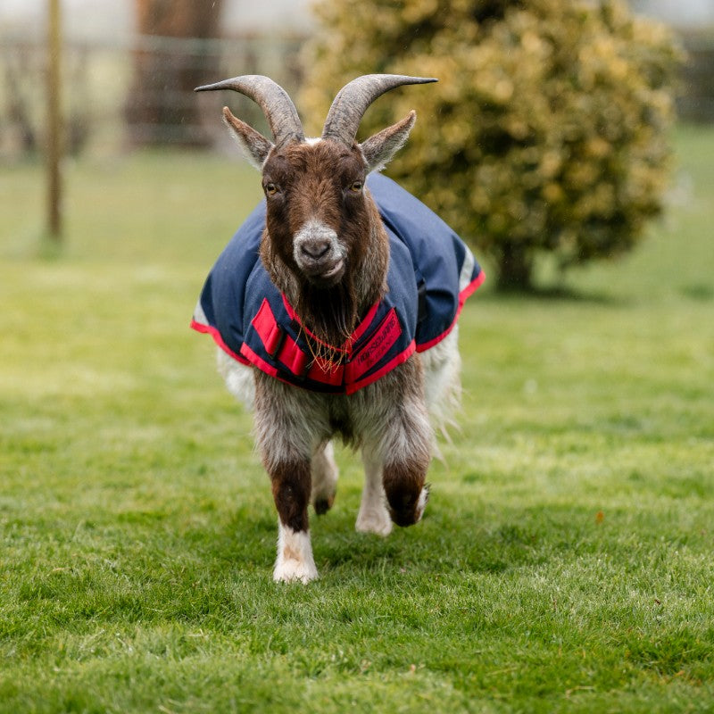 Horseware - Cover for marine goat / red 200g