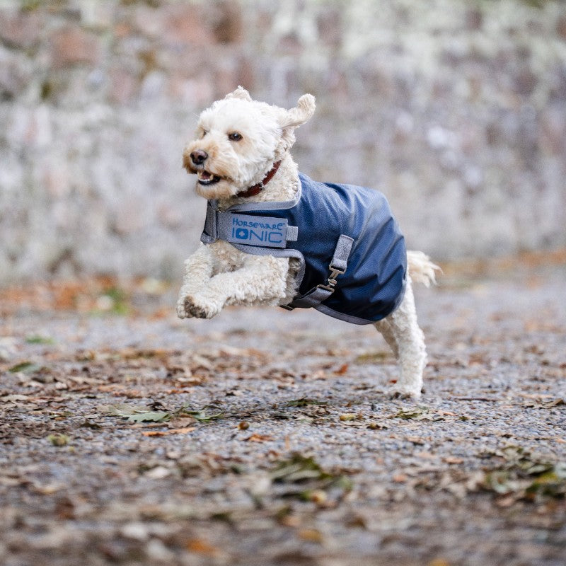 Horseware - Couverture pour chien Ionic Therapy imperial blue/ argent/ marine 50g | - Ohlala
