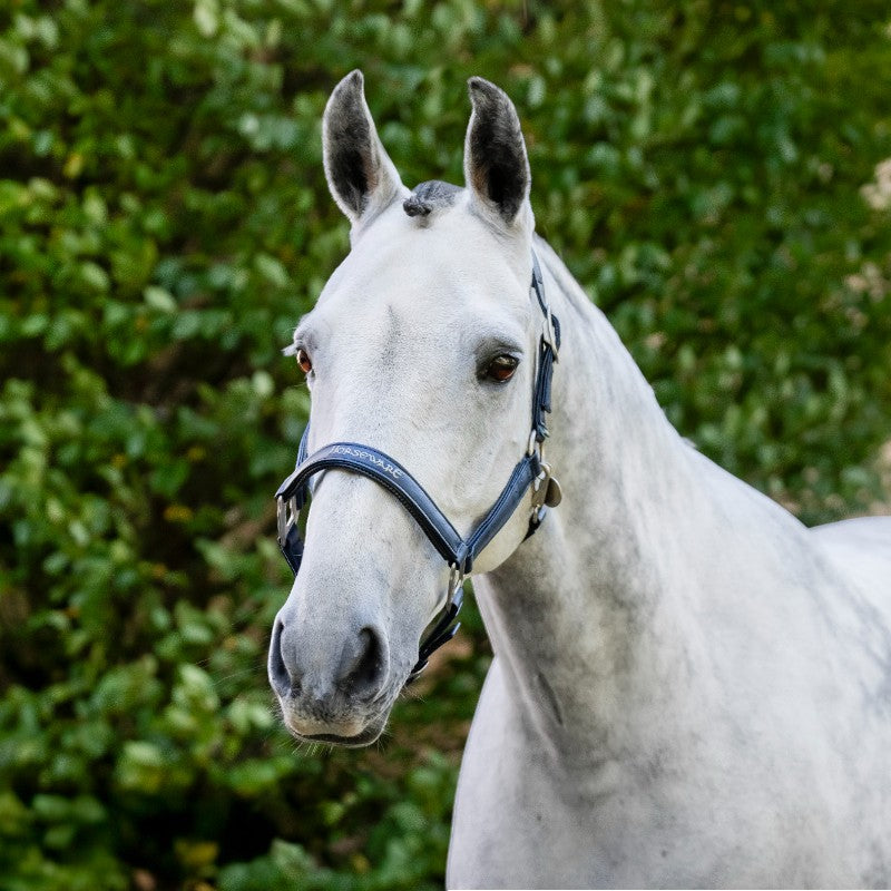 Horseware - Licol Grooming marine | - Ohlala
