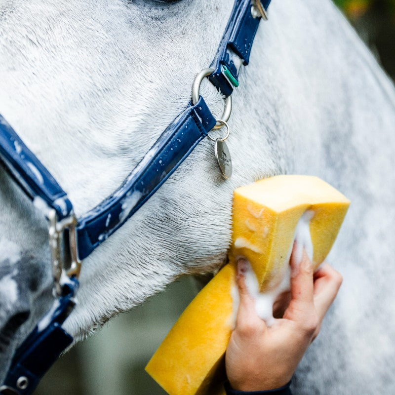 Horseware - Licol Grooming marine | - Ohlala