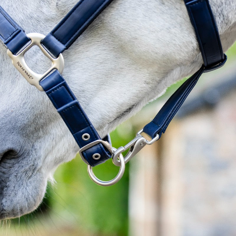 Horseware - Licol Grooming marine | - Ohlala