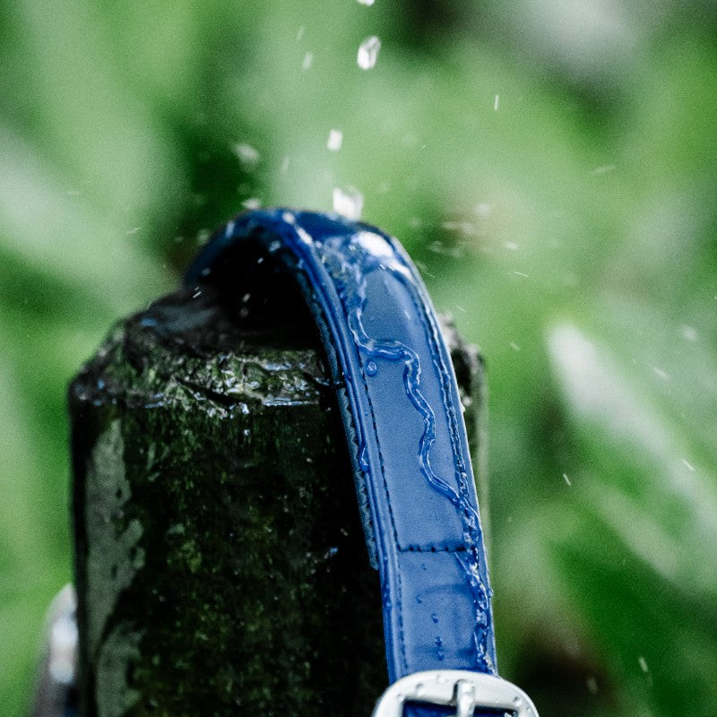 Horseware - Licol Grooming marine | - Ohlala