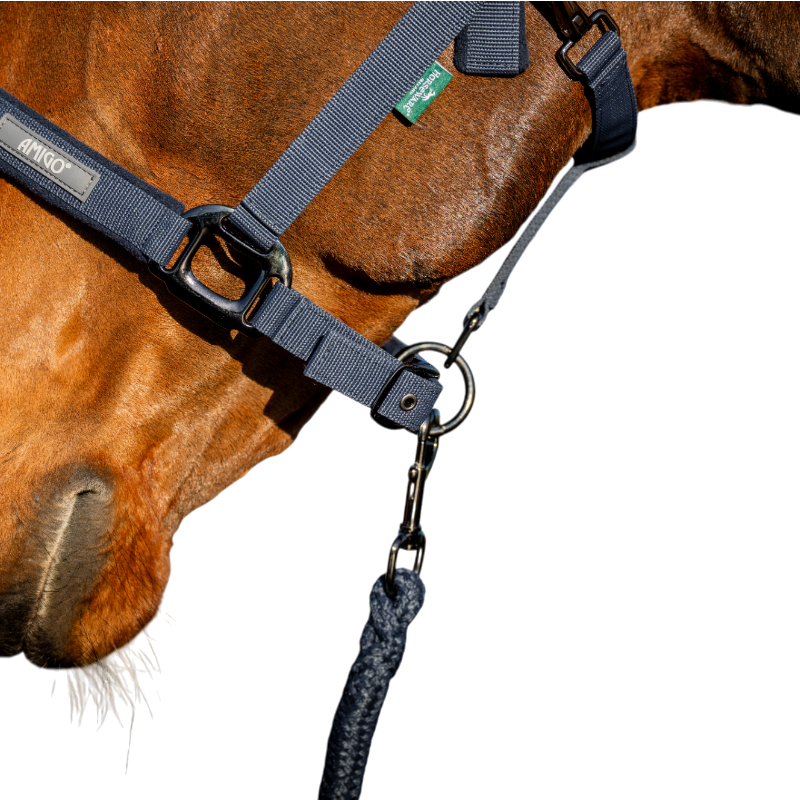 Horseware - Licol et longe Amigo marine | - Ohlala