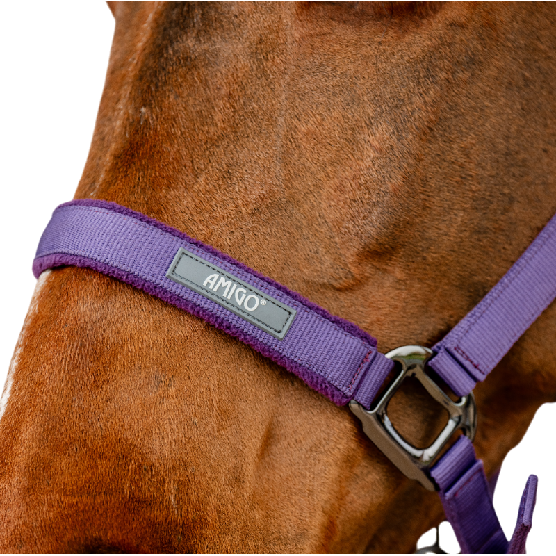 Horseware - Licol et longe Amigo winterberry | - Ohlala