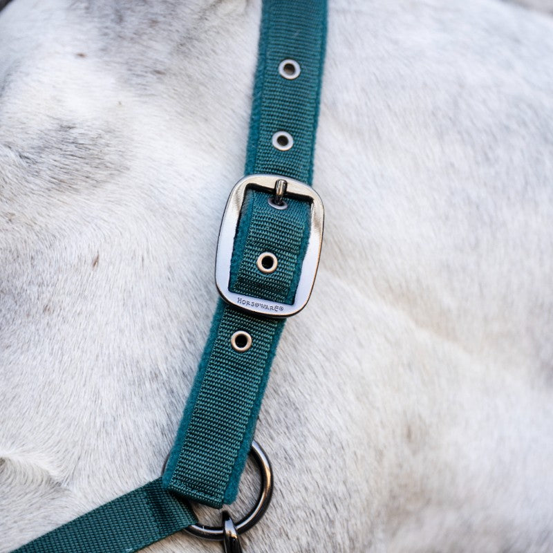 Horseware - Halter and lead rope dynasty green