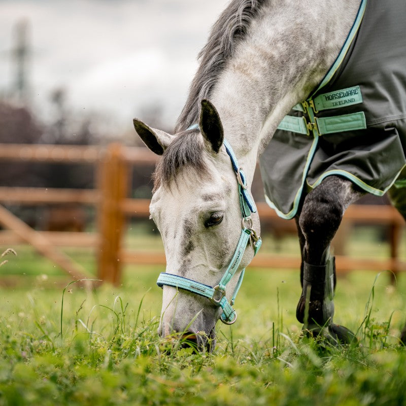 Horseware - Licol spécial pâturage Field Safe blue haze | - Ohlala