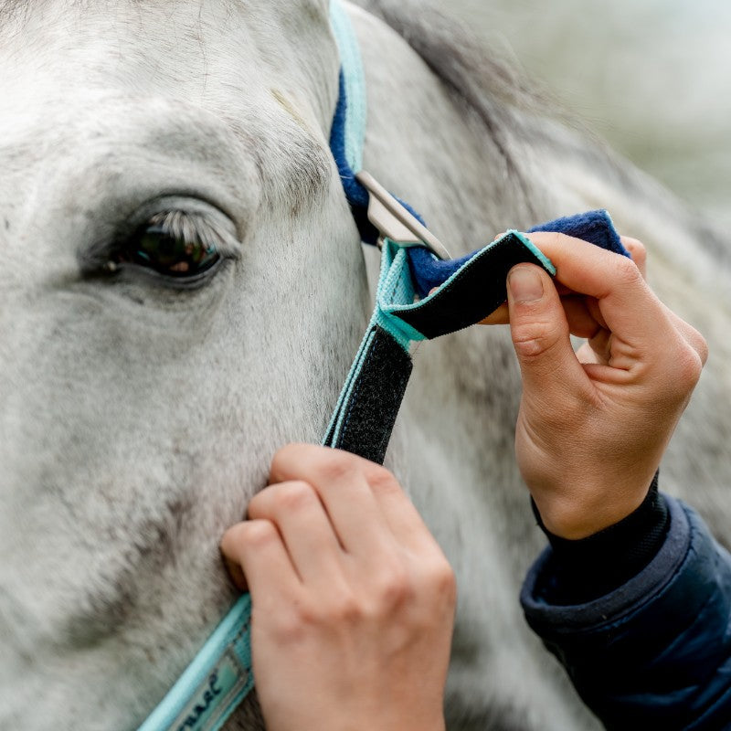 Horseware - Licol spécial pâturage Field Safe blue haze | - Ohlala