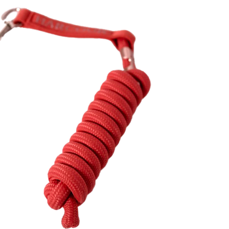 Harcour - Licol et longe Bamara pamplemousse | - Ohlala