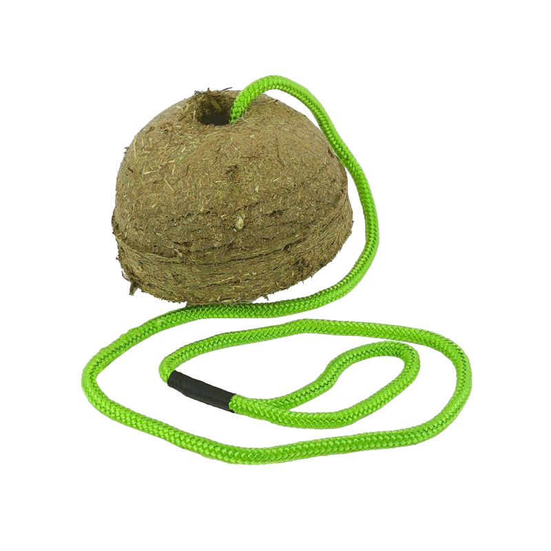 Hippotonic - Recharge bloc de foin carotte | - Ohlala