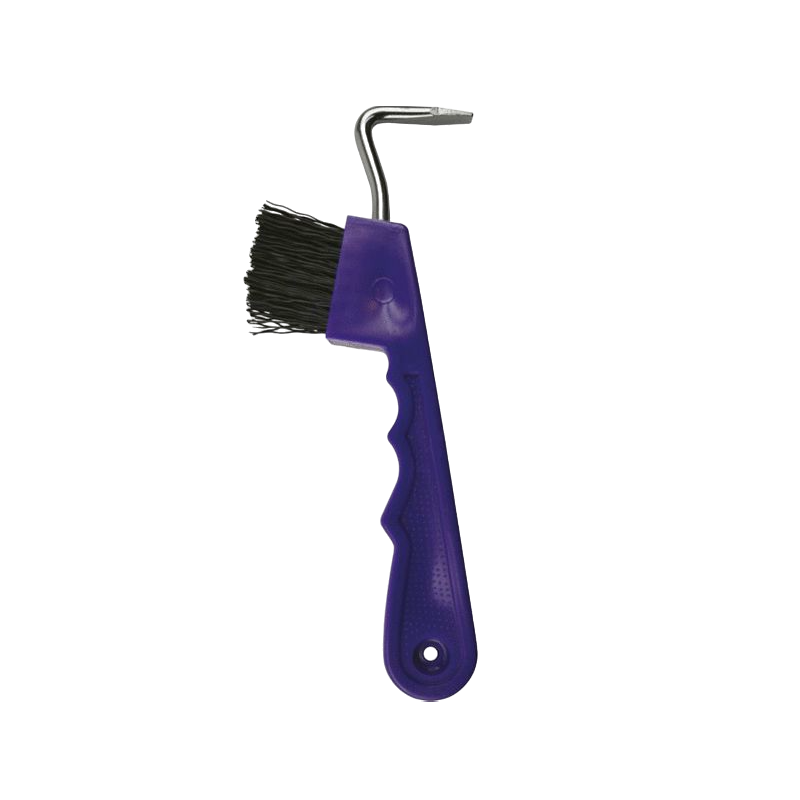 Hippotonic - Cure-pied brosse violet | - Ohlala