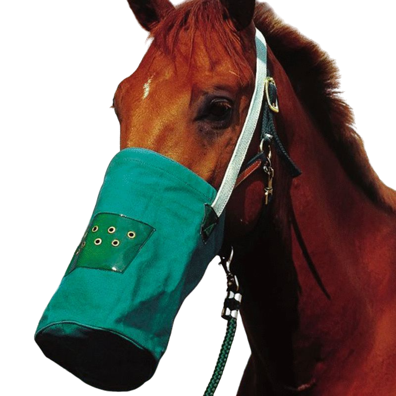 Hippotonic - Musette canvas vert | - Ohlala