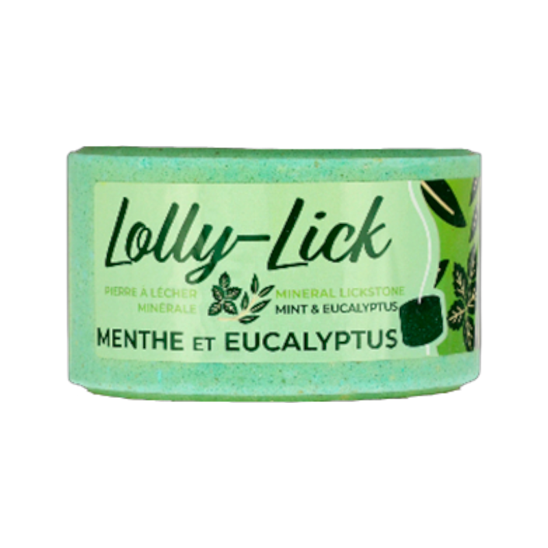 Hippotonic - Zoutvaatje Lolly-Lick munt eucalyptus 700g