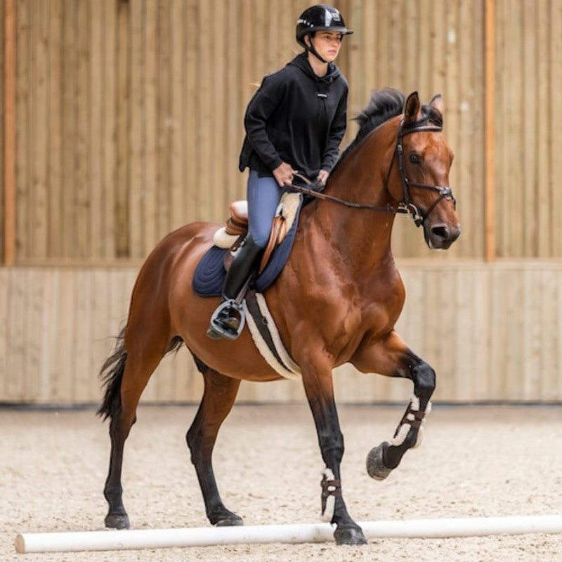 Horse Pilot - Damen Kapuzenpullover Team Schwarz