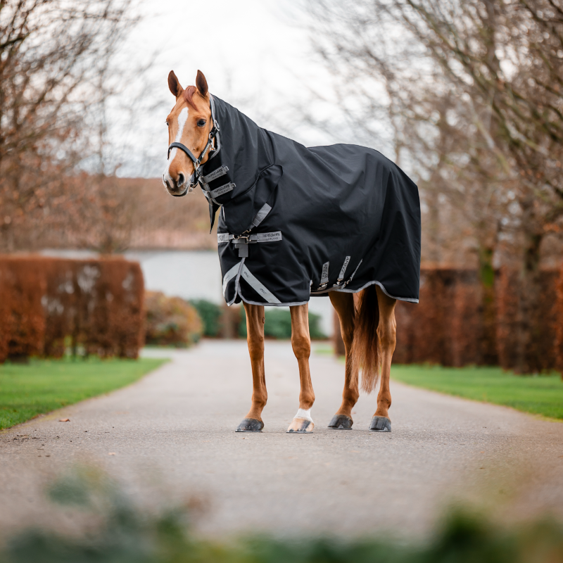 Horseware - Couverture d'extérieur Amigo Bravo Integrated Turnout noir/ titanium grey/ argent 150g | - Ohlala