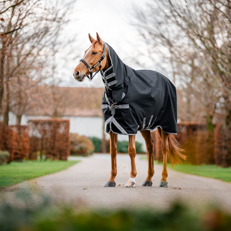 Horseware - Couverture d'extérieur Amigo Bravo Integrated Turnout noir/ titanium grey/ argent 150g | - Ohlala