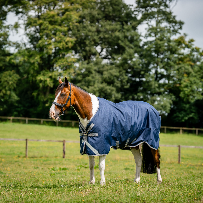 Horseware - Couverture d'extérieur Amigo Bravo XL Turnout marine/ titanium grey/ argent 150g | - Ohlala