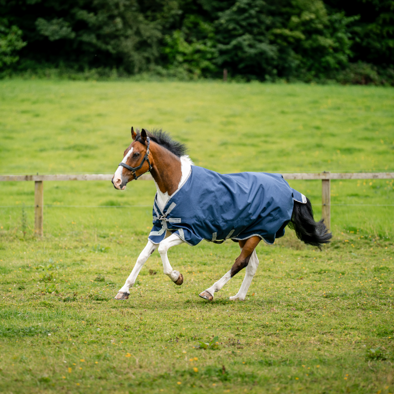 Horseware - Couverture d'extérieur Amigo Bravo XL Turnout marine/ titanium grey/ argent 150g | - Ohlala