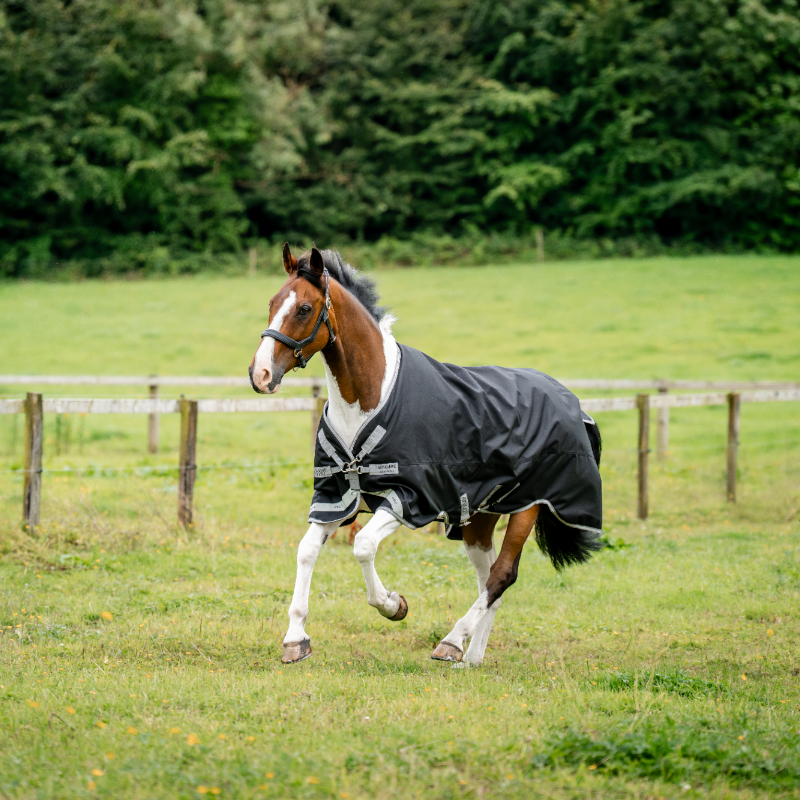 Horseware - Couverture d'extérieur Amigo Bravo XL Turnout noir/ titanium grey/ argent 50g | - Ohlala