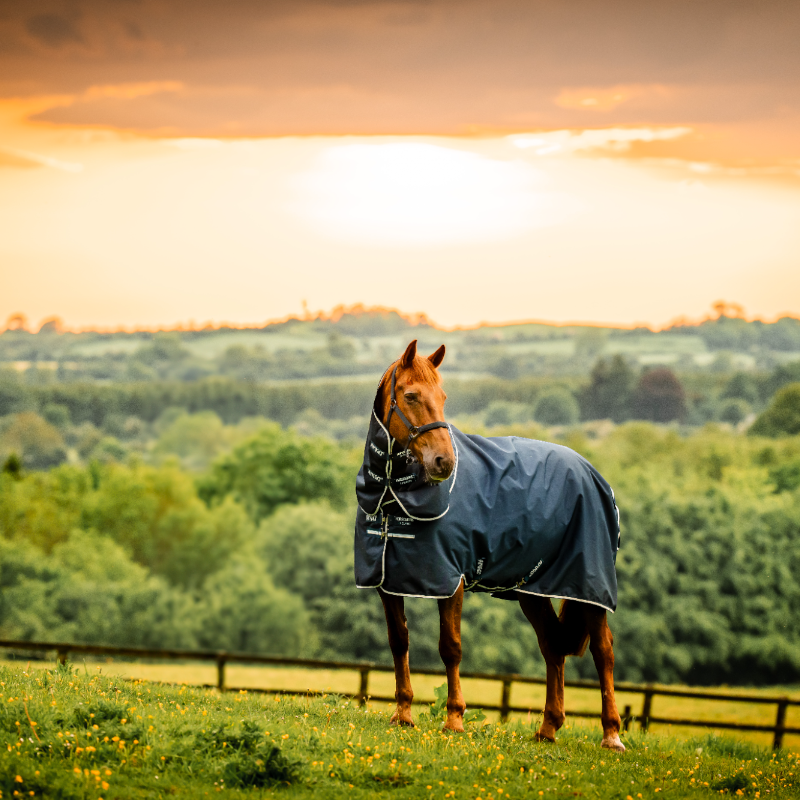Horseware - Couverture d'extérieur Amigo Ripstop Plus Turnout witney navy 100g | - Ohlala