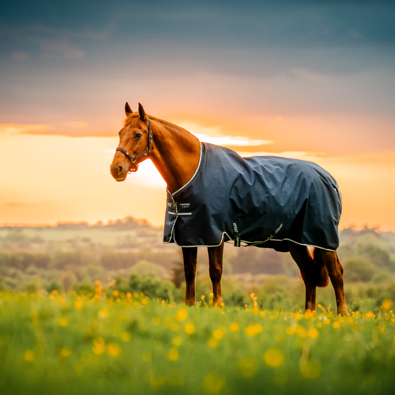Horseware - Couverture d'extérieur Amigo Ripstop Pony Turnout witney navy 0g | - Ohlala