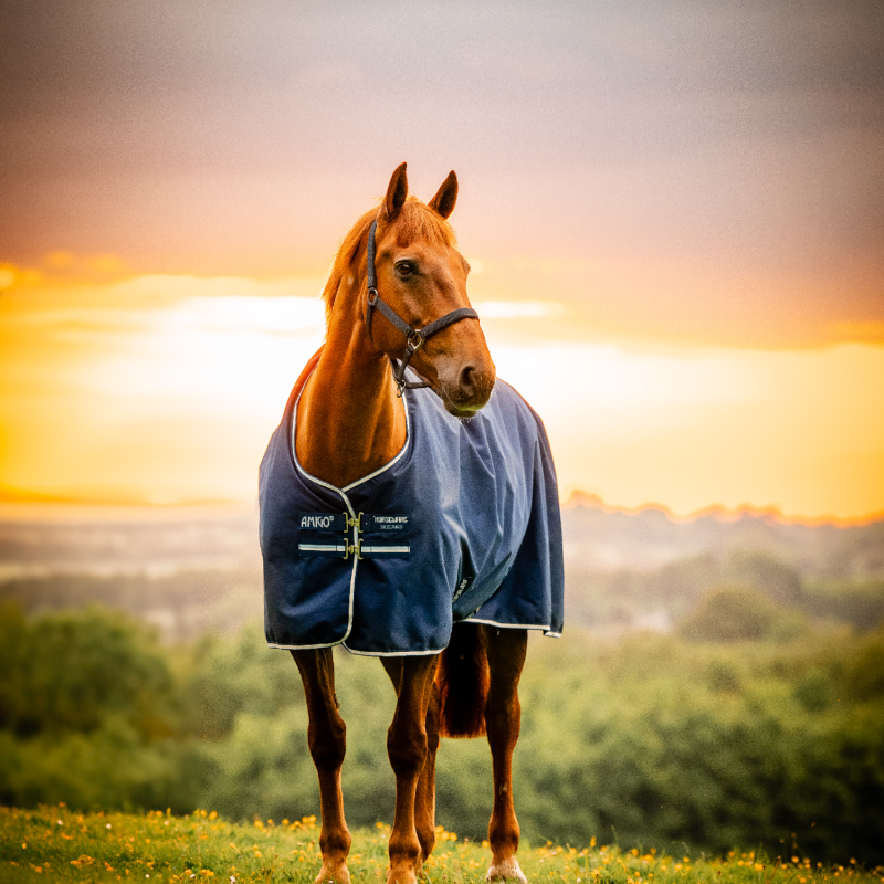 Horseware - Couverture d'extérieur Amigo Ripstop Pony Turnout witney navy 0g | - Ohlala