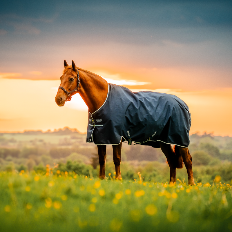 Horseware - Couverture d'extérieur Amigo Ripstop Turnout witney/ marine 200g | - Ohlala